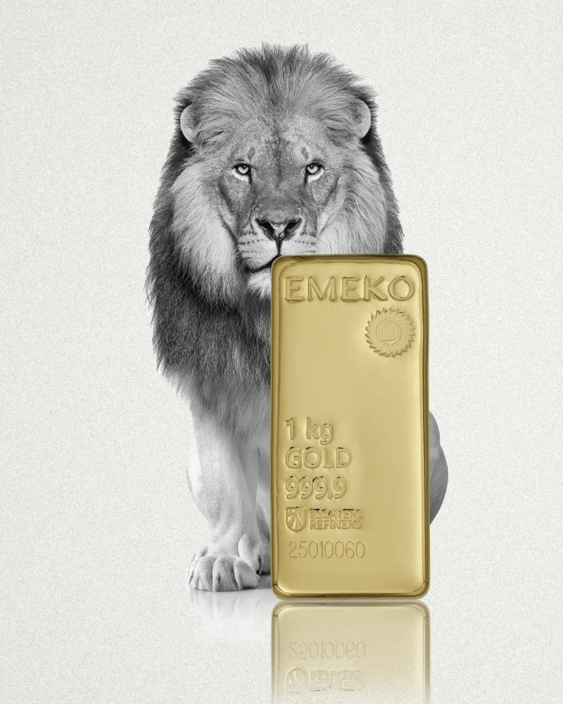 Emeko – Institutional Brand Film Emeko institutional brand communication and investor positioning film